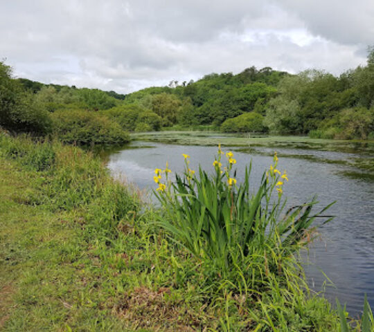 Clennon Gorge