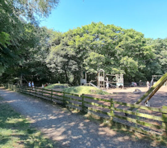 Flatts Lane Country Park