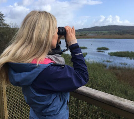 RSPB Leighton Moss