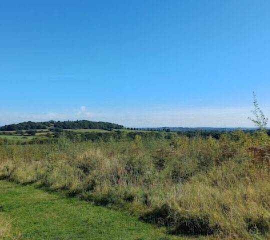 The Young People’s Forest at Mead