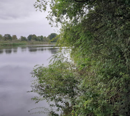 Saltmarshe Delph Nature Reserve