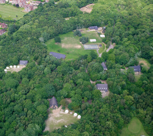 Rock UK Carroty Wood