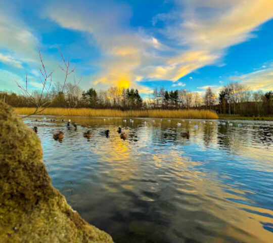 Watergate Forest Park
