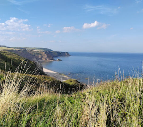 Easington Colliery Local Nature Reserve