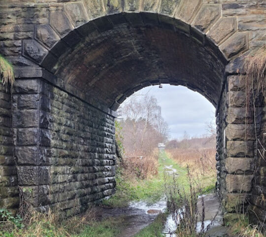 Chester Moor Nature Reserve
