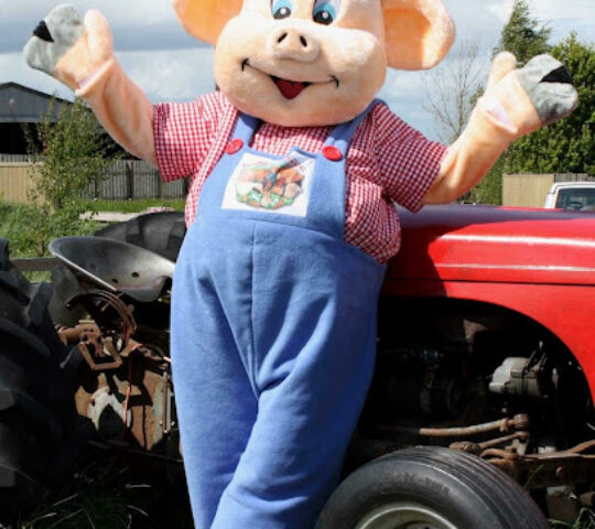 Down At The Farm