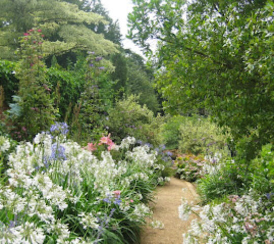 Pashley Manor Gardens