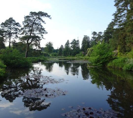 Bedgebury National Pinetum and Forest
