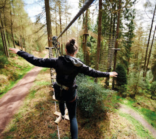 Go Ape Normanby Hall