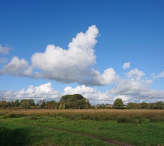 Cumbria Wildlife Trust