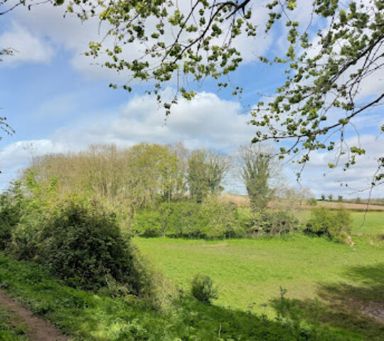 Ledsham Bank nature reserve