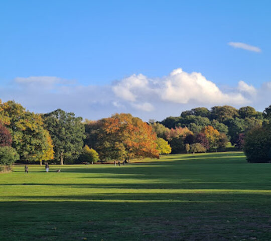 Bramcote Hills Park