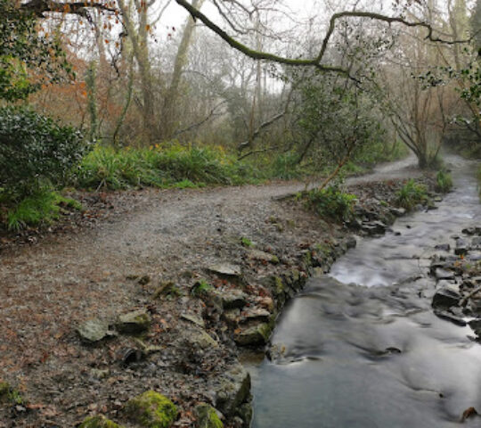 Tregoniggie Woodland
