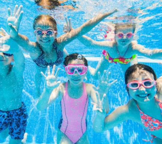 Swim Wild Academy Falmouth