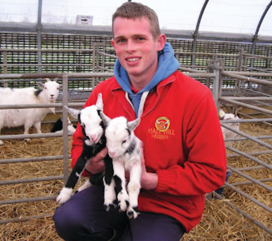 Hall Hill Farm