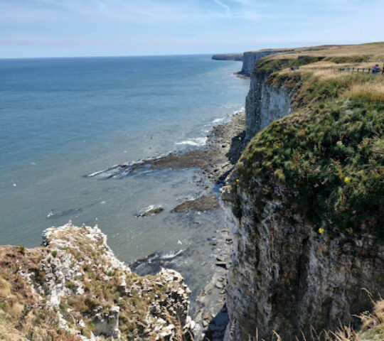 RSPB Bempton Cliffs