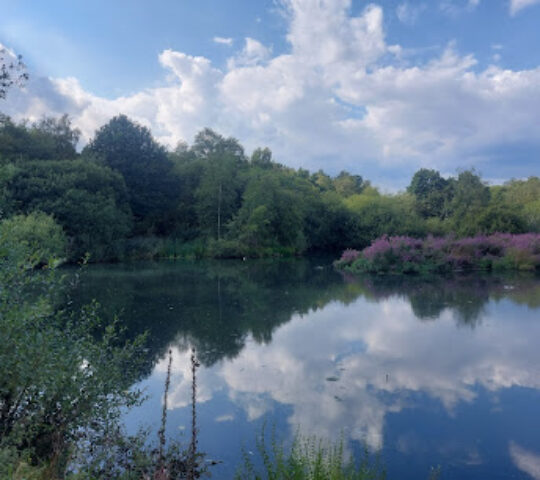 Adel Dam Nature Reserve