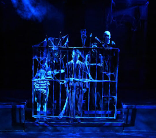 DJR Youth Theatre Company