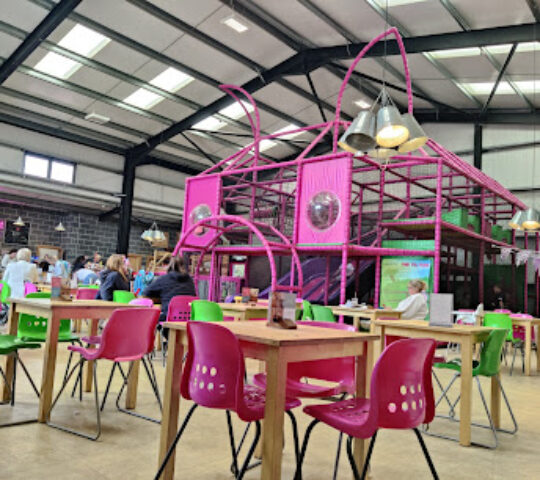 The Pink Pig Farm