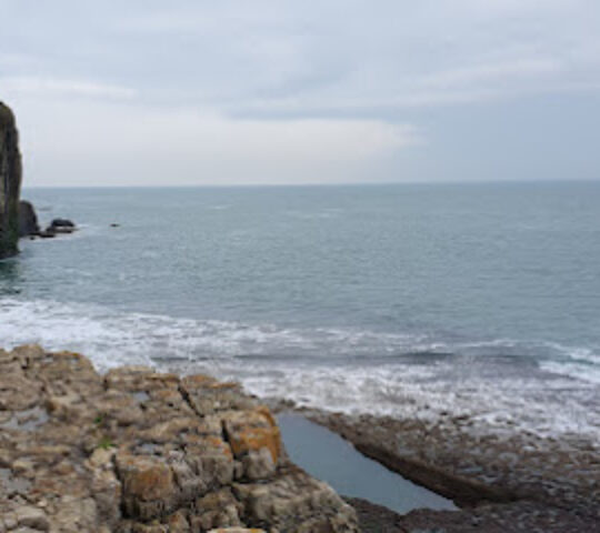 Guillemot Ledge