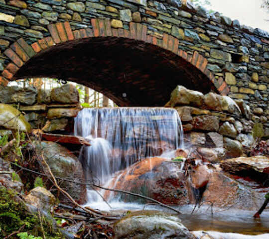 Fawe Park