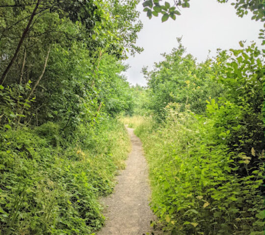 Fitzwilliam Country Park