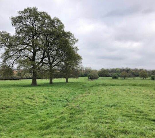 Snelshall Priory Earthworks