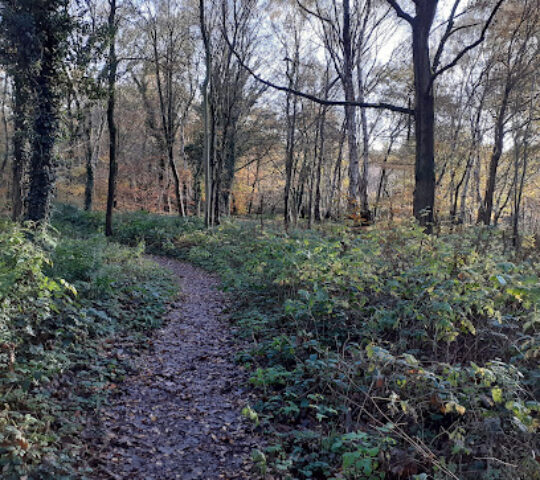 Country Park