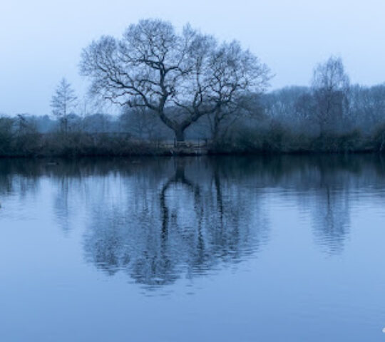 Eastrington Ponds Nature Reserve
