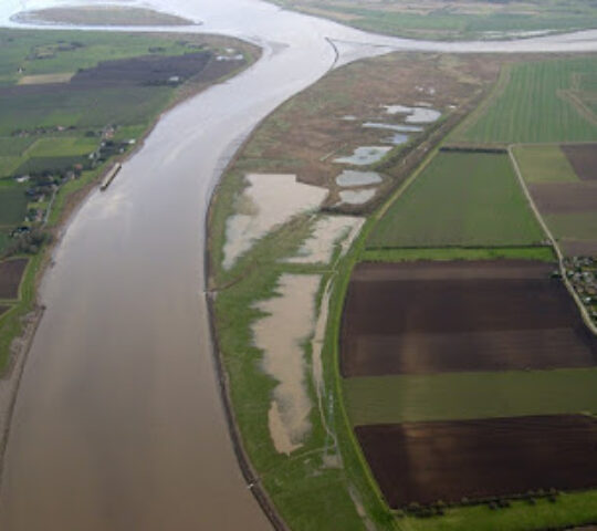 RSPB Blacktoft Sands