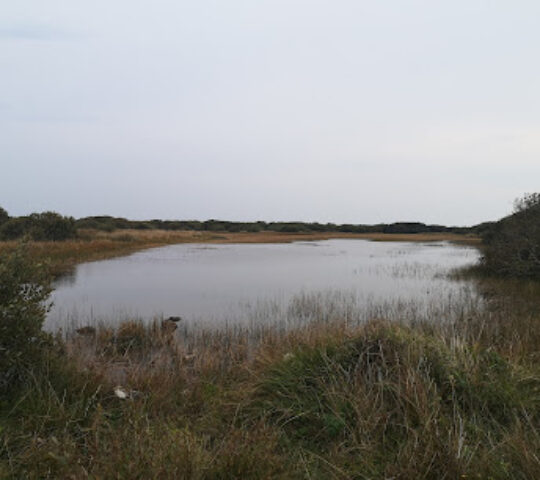 North Predannack Downs
