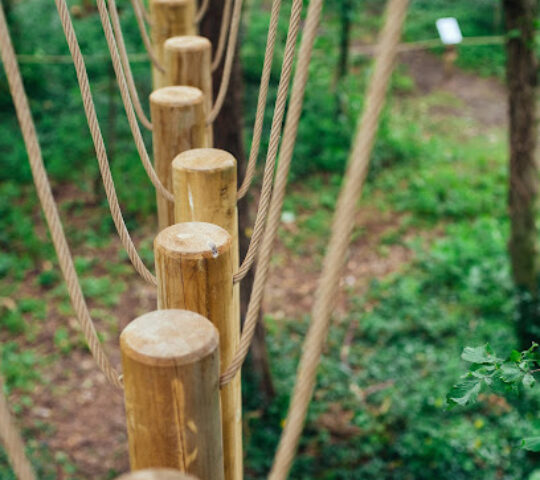 Arial Trail