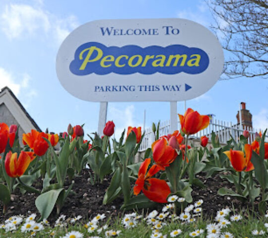 Pecorama