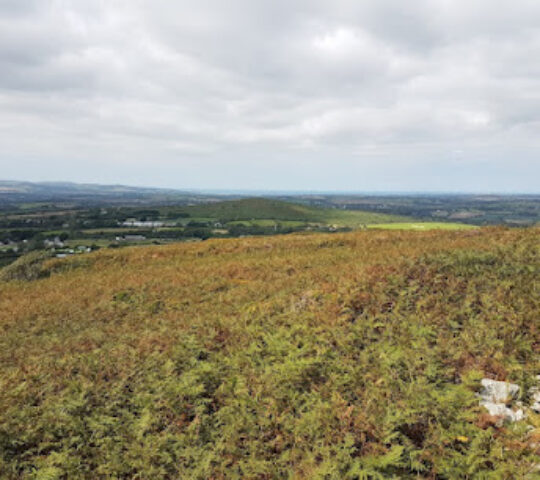 Tregonning Hill