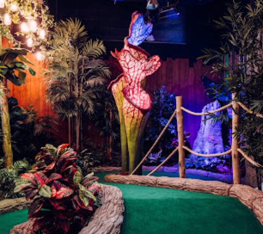 Treetop Golf