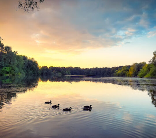 Brereton Heath Country Park