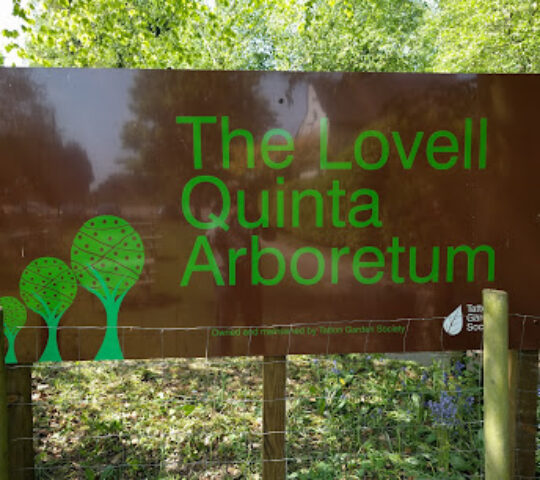 The Lovell Quinta Arboretum