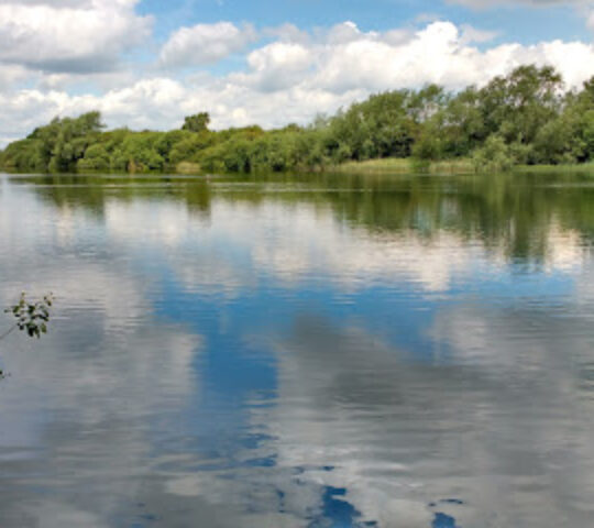 Oakhill Nature Reserve