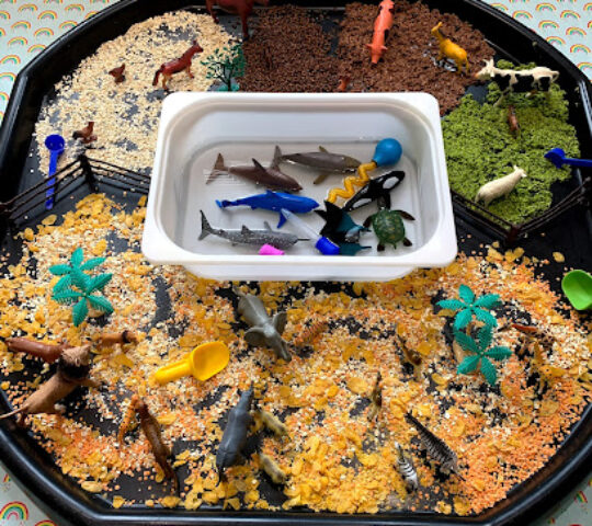 North Devon Sensory Explorers