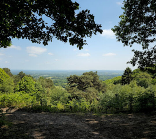 National Trust- Black Down