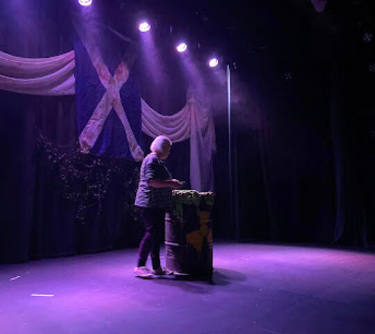 The South Devon Players theatre & film company
