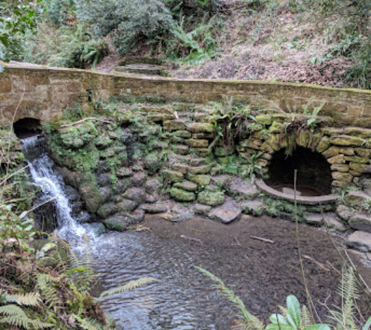 Yeovil Country Park