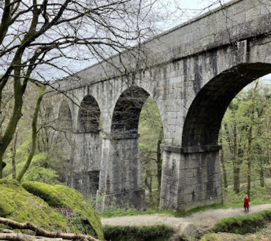 Treffry Viaduct