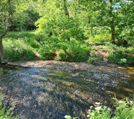 Happy Valley Nature Reserve