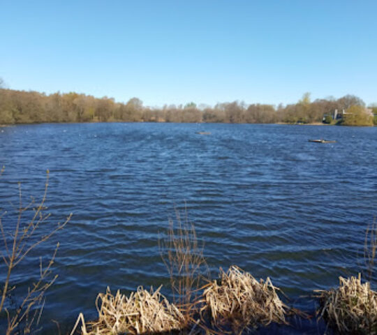 Hilton Gravel Pits Local Nature Reserve