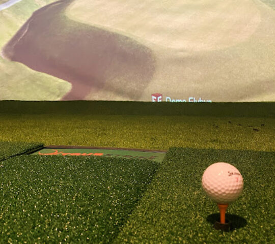 Birdies Golf Simulator