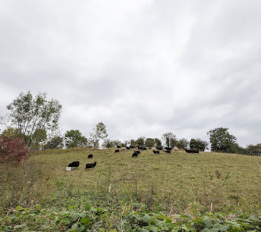 YWT Sherburn Willows Nature Reserve