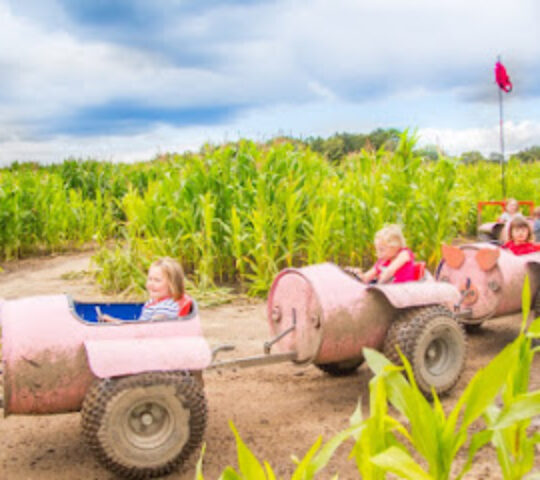 Piglets Adventure Farm