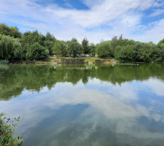 Upton Country Park