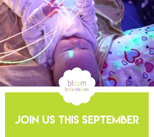 Bloom Gateshead Central and South